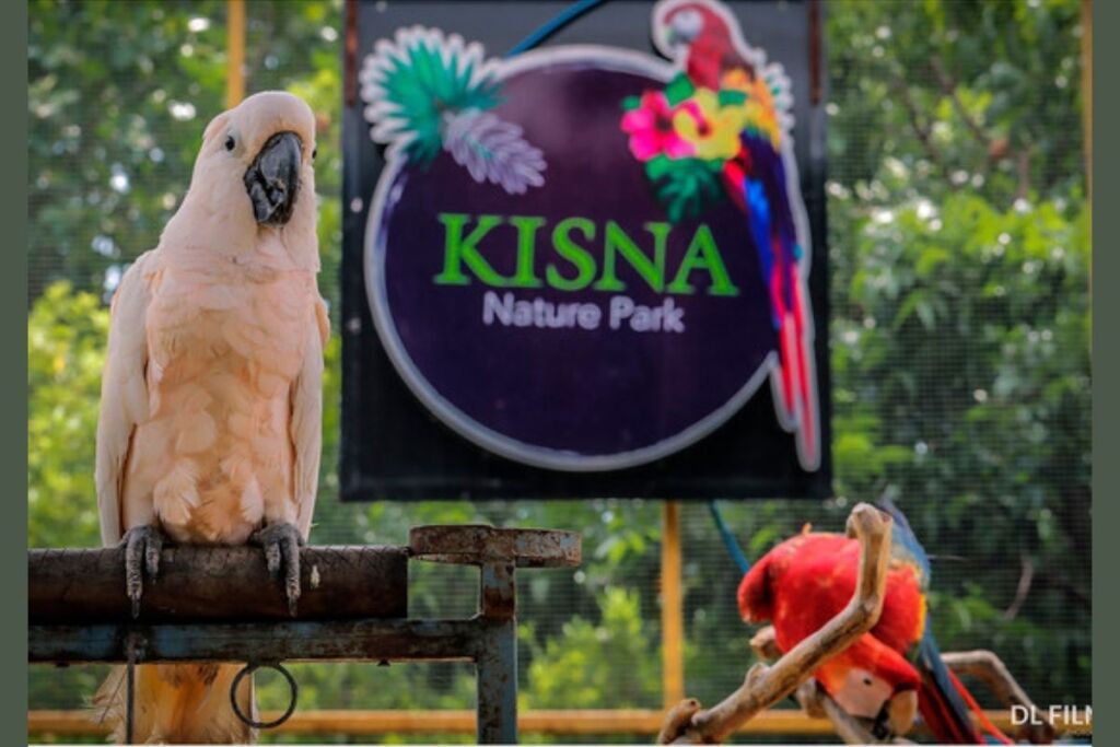 Surat’s Kisna Nature Park contributing to conservation of exotic birds, animals
