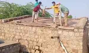 30 monkeys found dead in water tank in Telangana