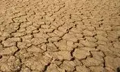 Zimbabwe declares national disaster due to drought