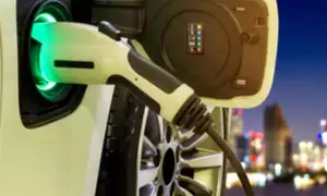 EV sales in India to grow 66 pc this year riding on consumer interest, govt initiatives