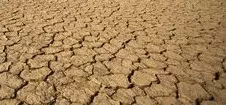 Zimbabwe declares national disaster due to drought Zimbabwe declares national disaster due to drought