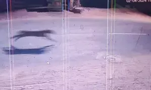 TN Forest Department steps up operation to capture elusive leopard in Mayiladuthurai