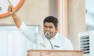 TN BJP chief Annamalai giving tough fight in Coimbatore Lok Sabha seat