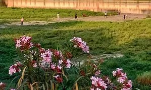 Water crisis looms large over Agra as summer heat intensifies