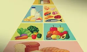 Balanced diet makes immune system more resilient to infections like TB: Health Ministry