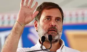 Tribals mean forest dwellers for BJP, Rahul Gandhi says at MP poll rally