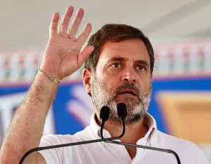 Tribals mean forest dwellers for BJP, Rahul Gandhi says at MP poll rally
