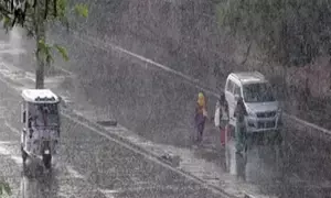 India headed for a normal monsoon: Skymet