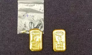 Ahead of polls, BSF makes back-to-back gold seizures near B’desh border