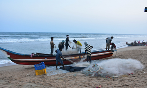 Three TN fishermen injured in alleged attack by Sri Lankan Navy
