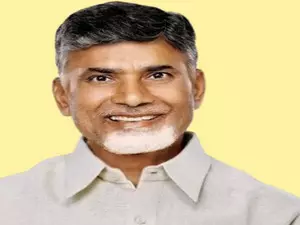 TDP seeks public donations, launches website TDP seeks public donations, launches website