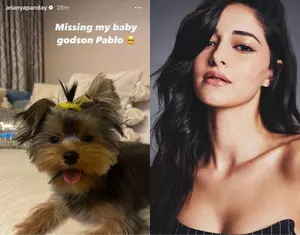 Ananya Panday misses godson Pablo; asks BFF Shanaya to send him for sleepover