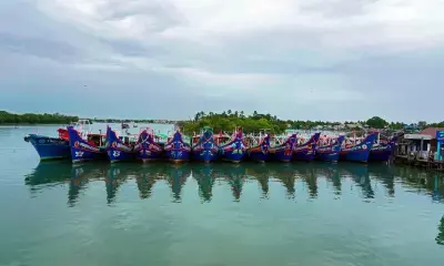 Annual 61-day fishing ban on TN coast from Monday