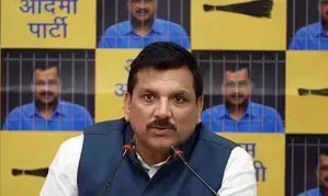 Kejriwal not allowed to meet wife face-to-face, alleges AAP MP Sanjay Singh