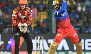 IPL 2024: We will come back stronger, its knockout time, asserts RCB head coach Andy Flower