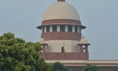 PIL in SC seeks expert panel to examine feasibility of 3-yr LLB immediately after Class 12