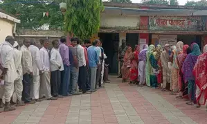 Maha: 5 Vidarbha constituencies record 54.85 pc polling till 5 pm