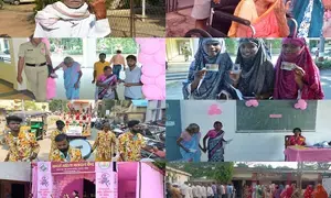 Maharashtra: Grooms, seniors, youth, first-timers, transgenders celebrate festival of democracy in 5 LS seats