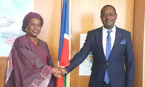 Namibia disappointed by U.S. veto of UN membership for Palestine