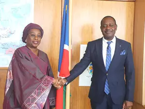 Namibia disappointed by U.S. veto of UN membership for Palestine