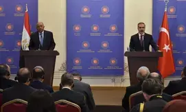 Turkish, Egyptian FMs call for action to end crises in Middle East