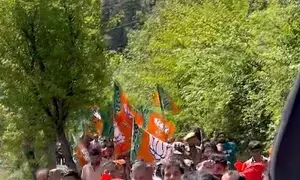 BJP goes vocal for local parties in Kashmir, shuns dynasties