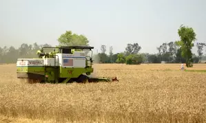 Punjab expected to procure 132 lakh metric tons wheat: Chief Secretary