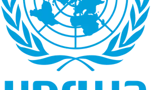 UN backed experts present final report on allegations against UNRWA