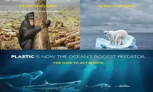 NatGeo rolls out 5 Earth Day videos to inspire people to become changemakers