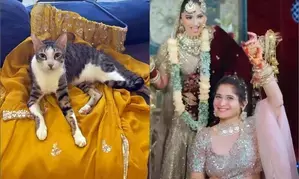 Bigg Boss 13 contestant Arti Singhs cat lords over her wedding prep