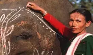 Indias first woman mahout breaks the glass ceiling to win Padma Shri award