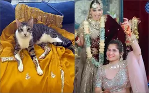 Bigg Boss 13 contestant Arti Singhs cat lords over her wedding prep