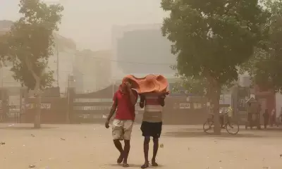 House wall collapses during Delhi storm, six minors among eight injured