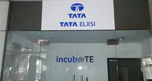 Tata Elxsi logs 13 pc revenue growth, announces 700 pc dividend for FY24