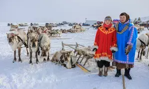 Rosneft subsidiary organises EcoArctic forum in Russia