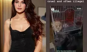 Jacqueliene urges fans to adopt and not shop: Animal breeding industry is cruel