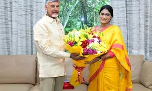 Jagan lacks manners, says sister Sharmila over saree remark