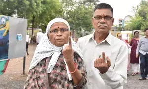 31.77 pc polling in Maharashtras 8 seats till 1 p.m. (Ld)