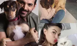 Pet parents Raveena, John Abraham, Priyamani, others share wisdom on a pawrfect summer