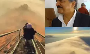 We need time in life to stop & smell the roses: Anand Mahindra