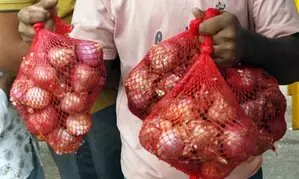 Govt allows export of 99,150 tonnes of onion to 6 countries