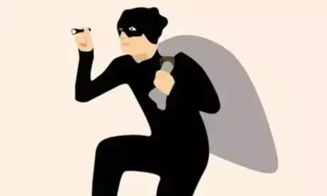 Japanese national robbed in Gaya, 1 held