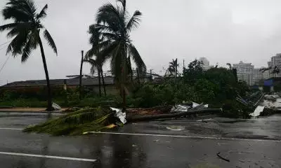 Five killed as tornado hits China