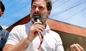 FairPoint: Rahul Gandhis revolutionary ideas may adversely impact Cong prospects