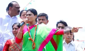 Jagan behind adding YSRs name to CBI cases: Sharmila