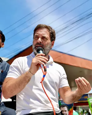 FairPoint: Rahul Gandhis revolutionary ideas may adversely impact Cong prospects