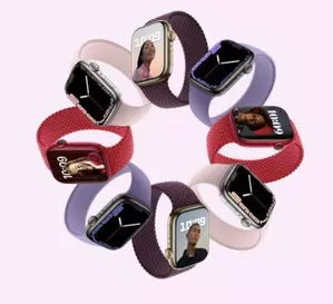 Global advanced smartwatch market likely to see 15 pc annual growth in 2024: Report