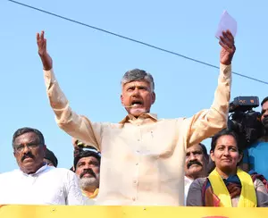 Chandrababu Naidu promises not to revise electricity tariff