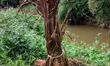 Kerala Police, Maoists exchange fire in Wayanad forest area