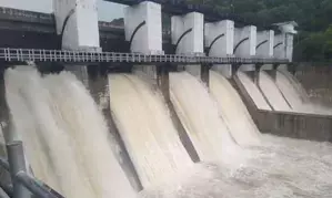 TN: Shutters of Shenbagathoppu dam opened after request from farmers